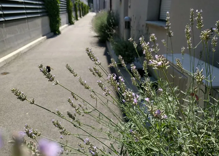 Jan's Place At Seaside アパート