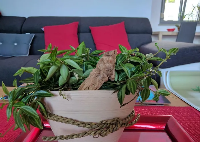 Jan's Place At Seaside アパート