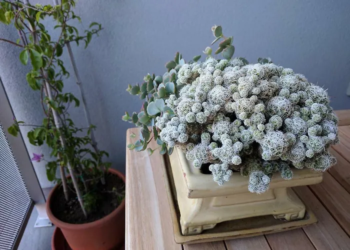 Jan's Place At Seaside *